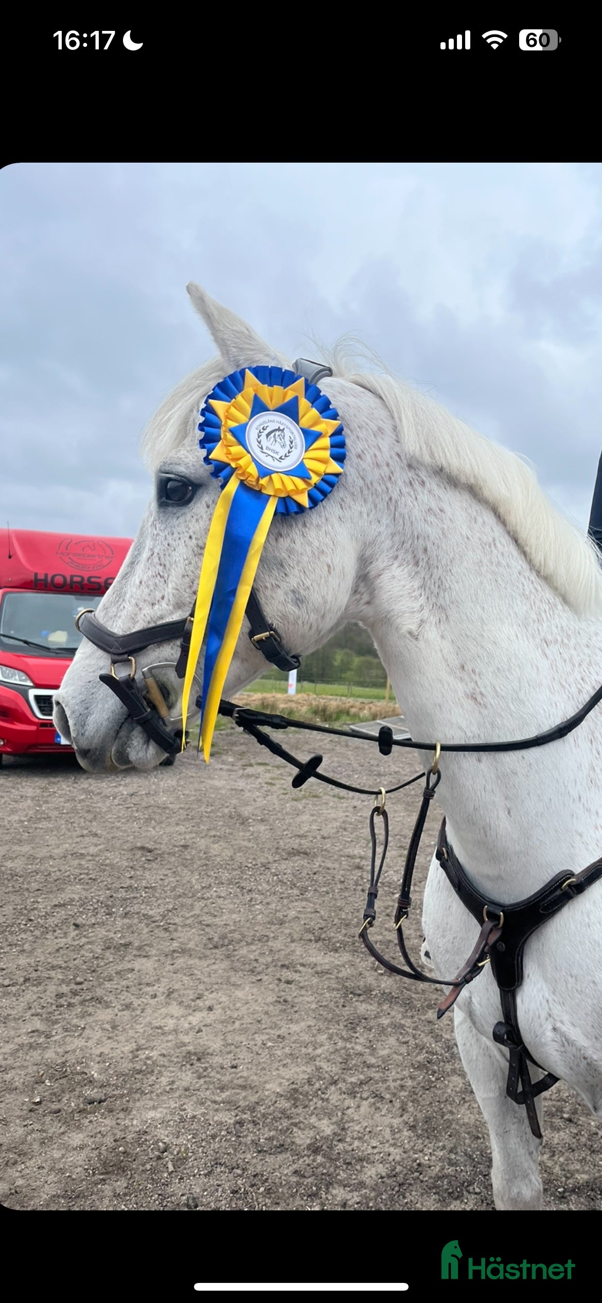  hästar Pigg Rosettplockare i Grebbestad - Annons 7