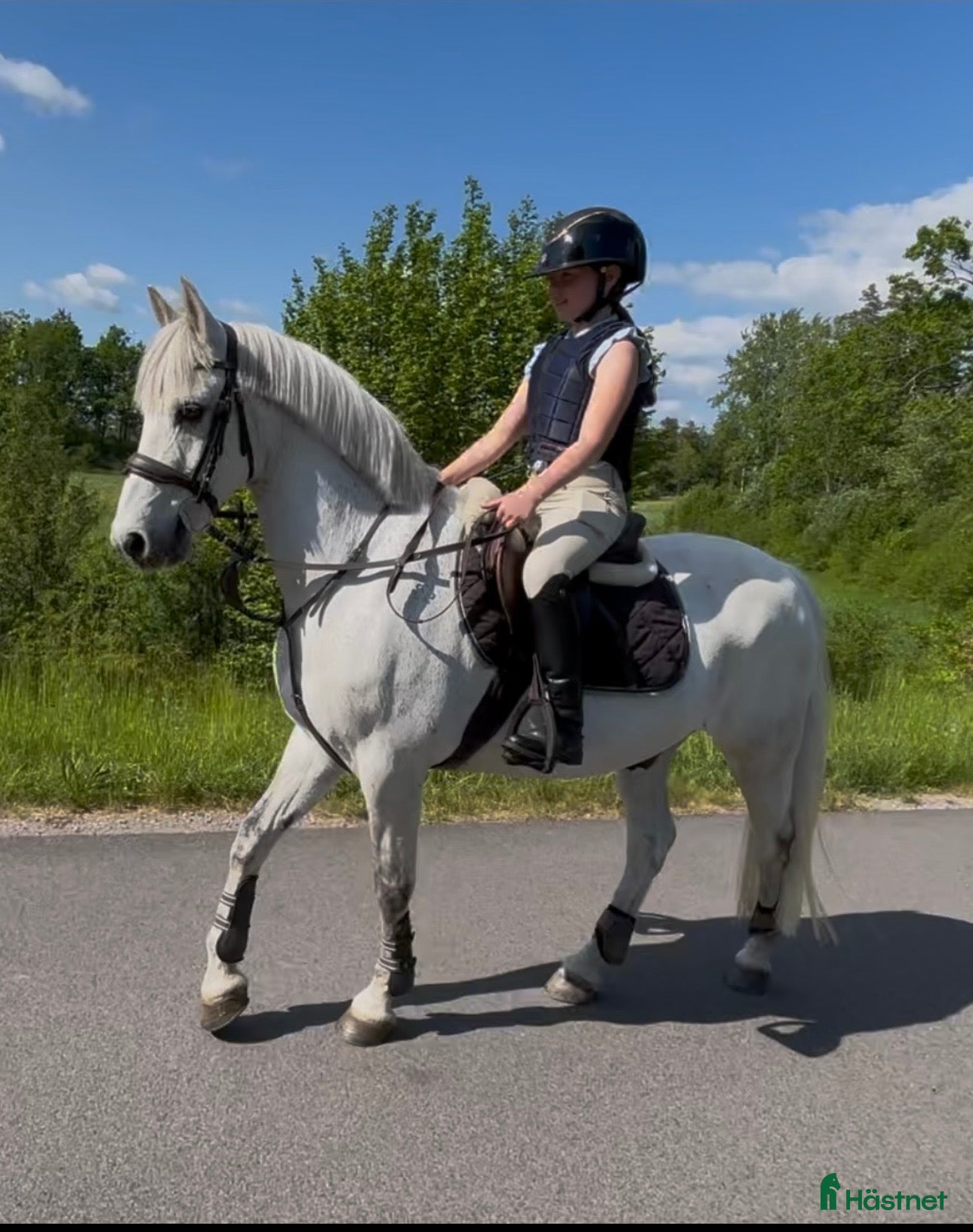  hästar Snygg C-ponny till aktivt hem som lyxig hobbyhäst - Annons 2