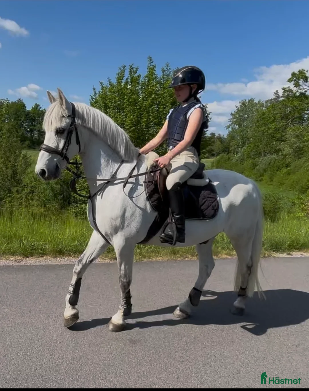 Allround hästar till salu: Snygg C-ponny till aktivt hem som lyxig hobbyhäst - Annons 1