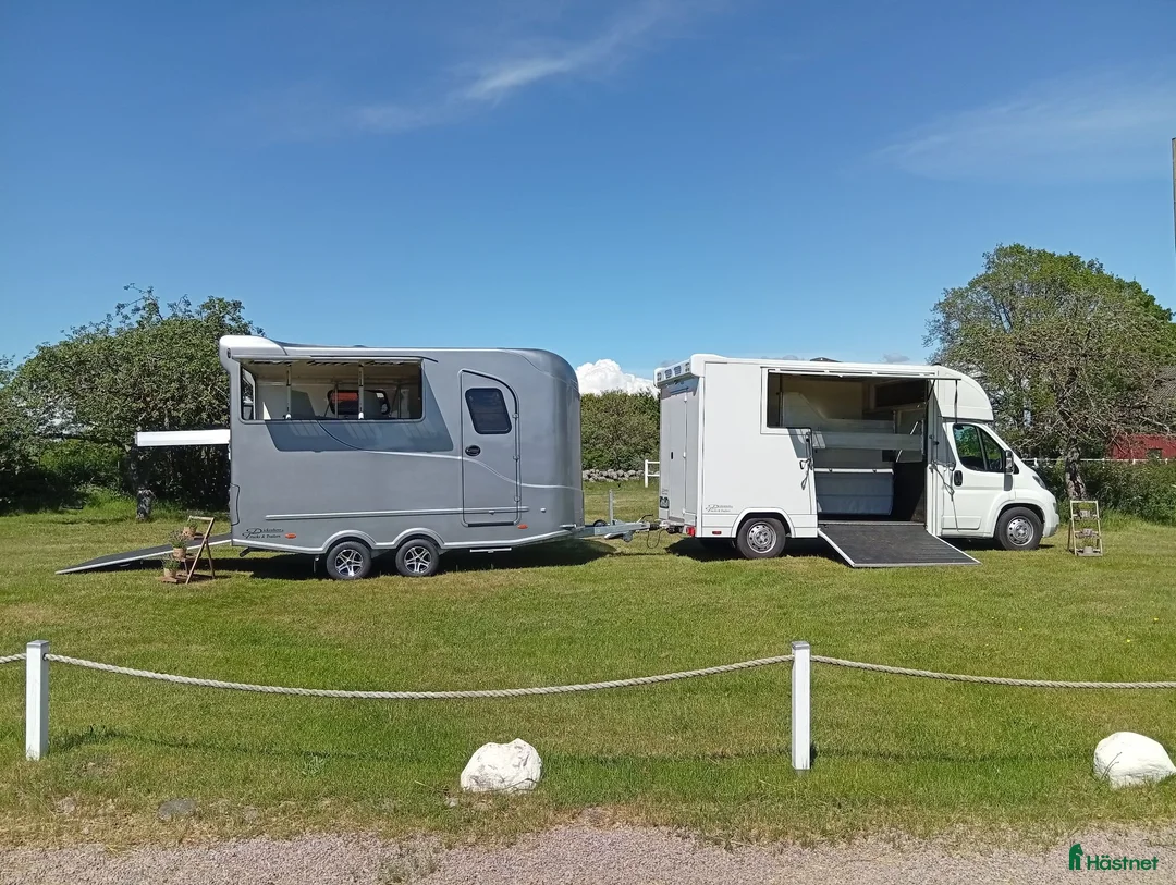 Hästtransporter  fordon & transport till salu: Dickenherr 3 hästars med bodel - Annons 1