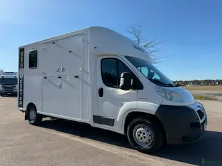 Hästlastbilar fordon & transport till salu: Theault Firsteo med hög lastvikt och låg skatt! - Annons 1