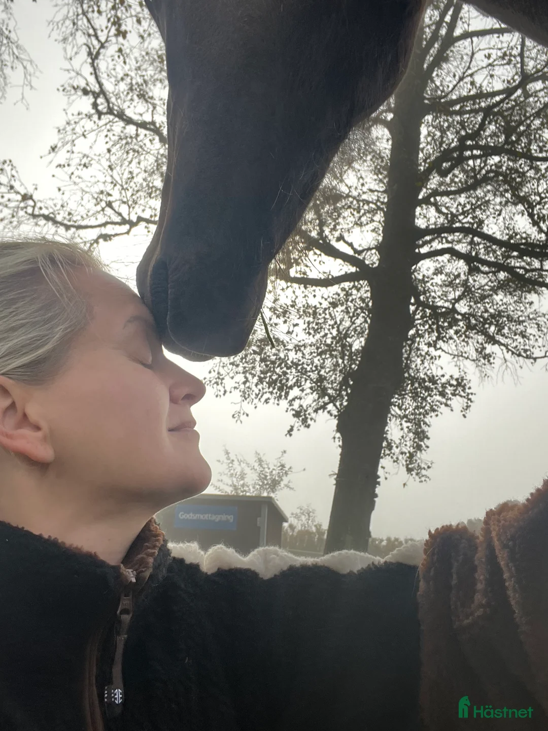 Galleribild {{count}}