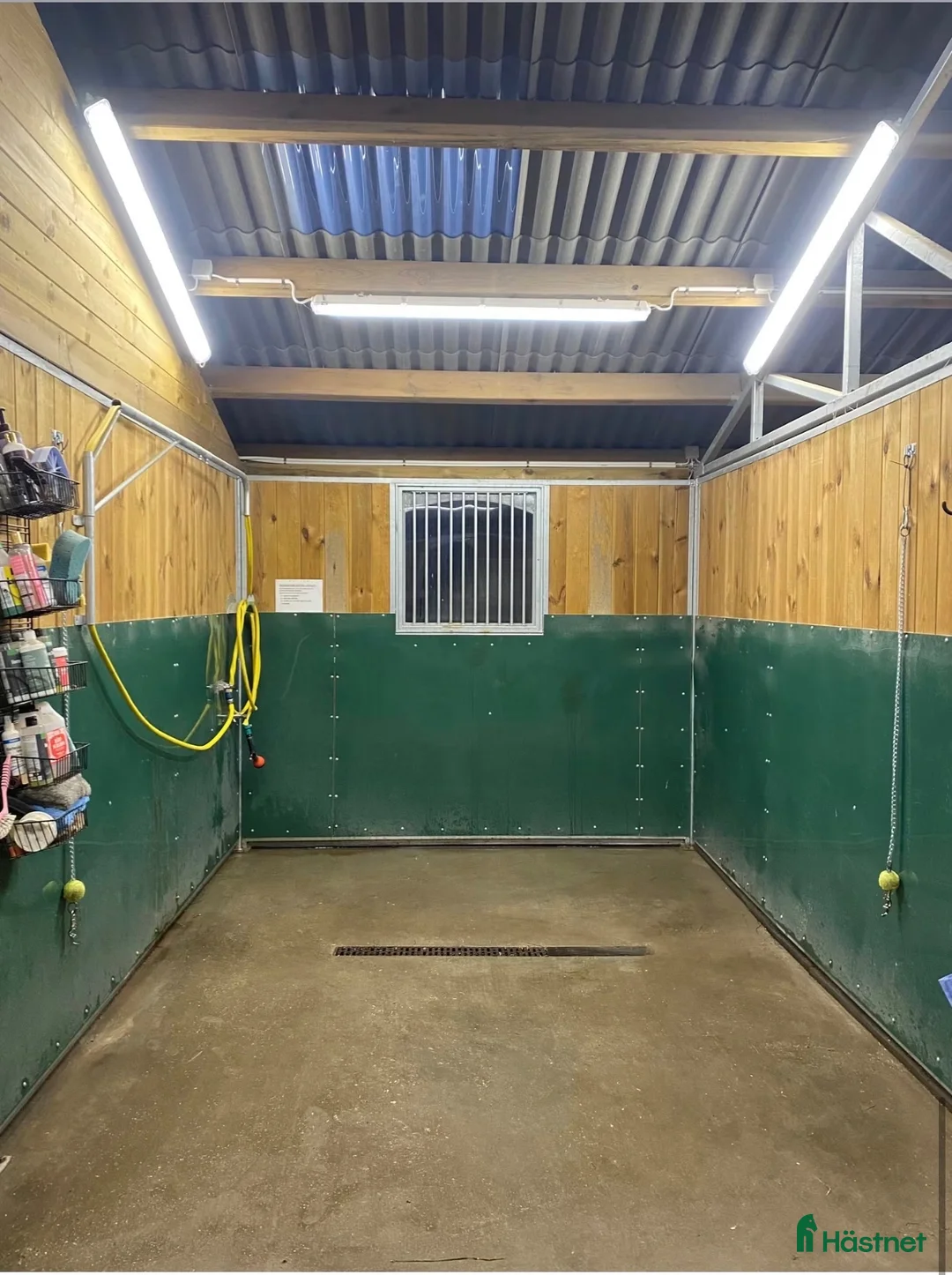  stallplats finnes: Ledig boxplats på Stall Gavesborg i Klagshamn  i Klagshamn - Annons 2