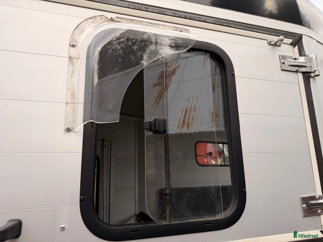 Hästtransporter  fordon & transport till salu: Cheval Liberté Gold ONE Pullman FRONTURLASTNING - Annons 9