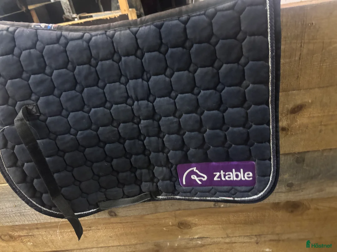 Schabrak & Vojlockar hästutrustning till salu: Fint e logga schabrak  i Vara - Annons 2