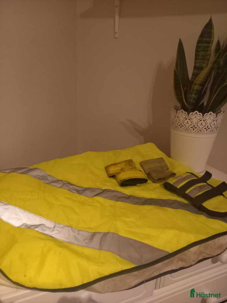 Övrig Hästutrustning hästutrustning till salu: Reflexer till häst till salu  i Oskarshamn - Annons 2