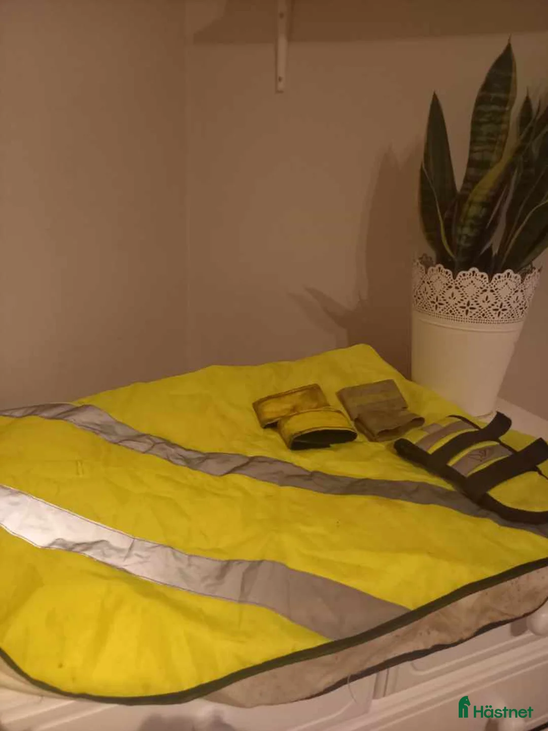 Övrig Hästutrustning hästutrustning till salu: Reflexer till häst till salu  i Oskarshamn - Annons 1