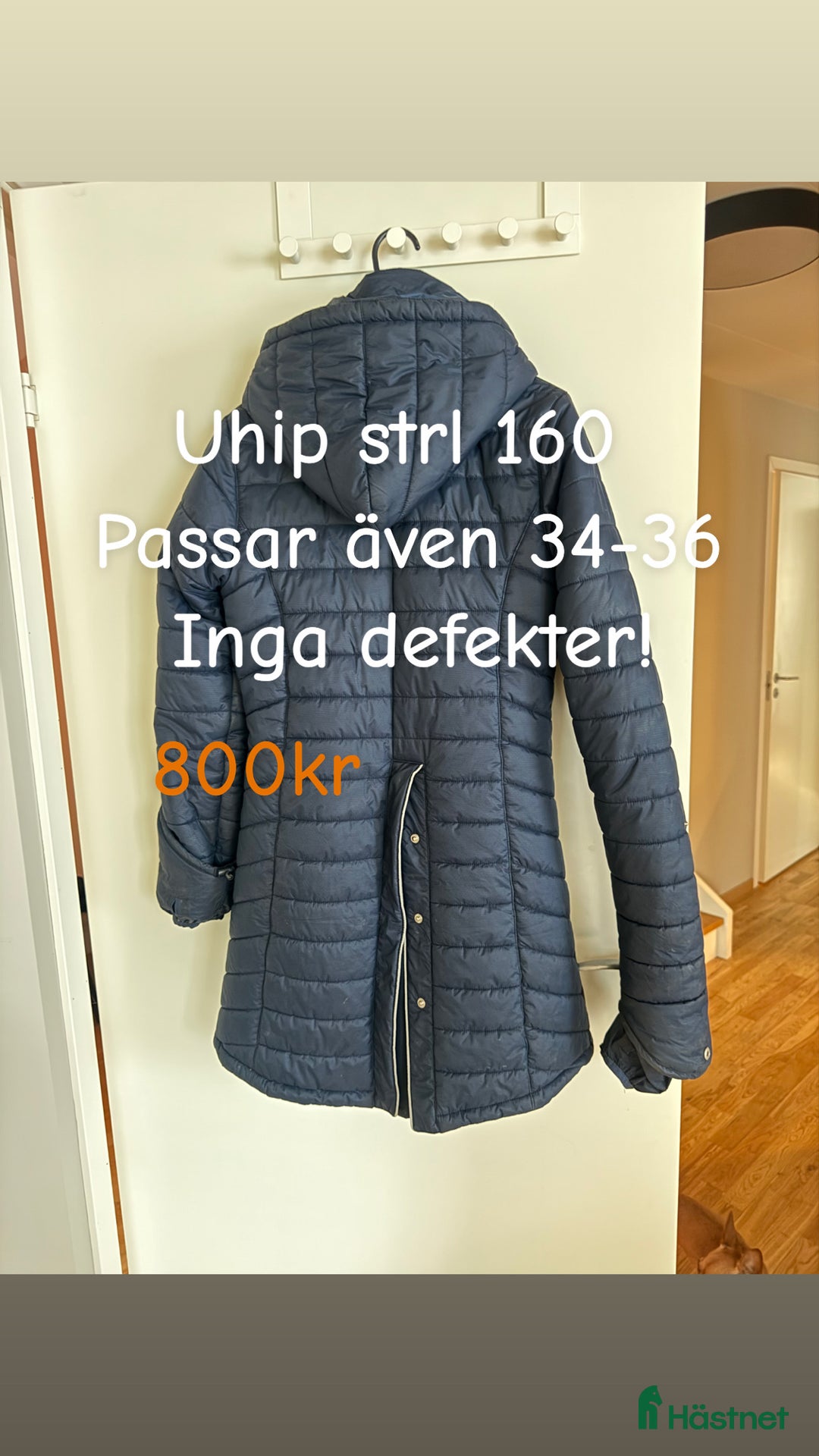 Övrig Hästutrustning hästutrustning till salu:  Samshield  Pikeur Fager Ariat Uhip MayaDelores i Hjälteby - Annons 9