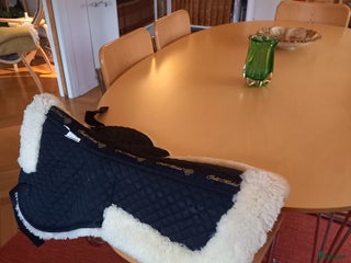 Övrig Hästutrustning hästutrustning till salu: Fårskinnspad i Östersund - Annons 10