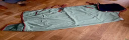Täcken hästutrustning till salu: Regntäcke, ofodrat, stl 155 - Annons 3