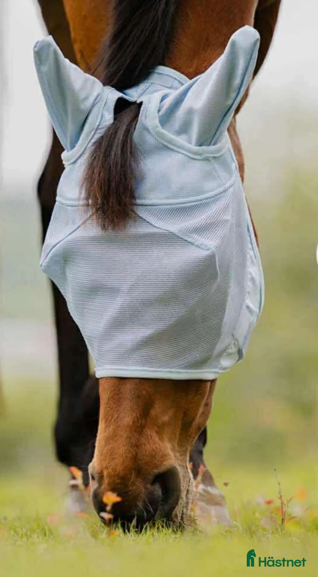 Övrig Hästutrustning hästutrustning till salu: Flughuvor - Annons 1