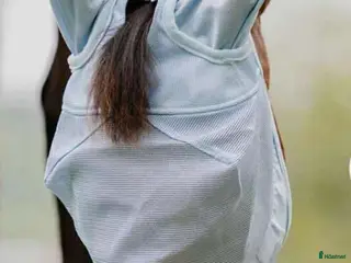 Övrig Hästutrustning hästutrustning Flughuvor - Annons 16