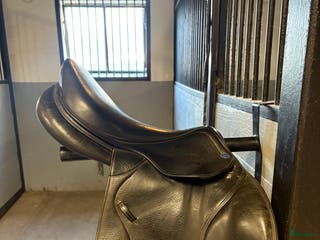 Sadlar hästutrustning till salu: Lippo allegria i Upphärad - Annons 11