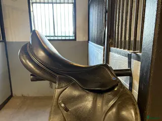 Sadlar hästutrustning Lippo allegria i Upphärad - Annons 12