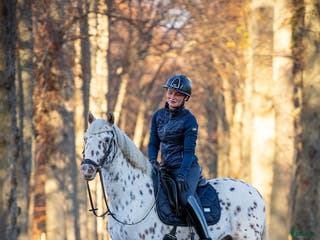 hästar En bästa vän som syns i mängden i Rimbo - Annons 12
