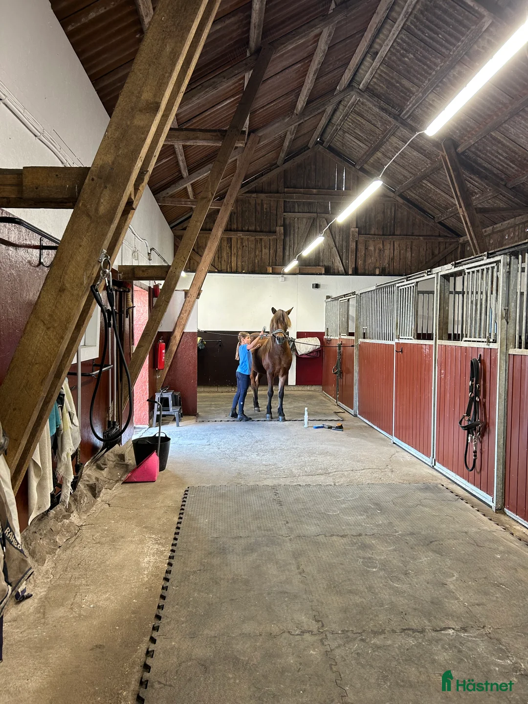  stallplats finnes: Stallplats i Onsala  i Onsala - Annons 2