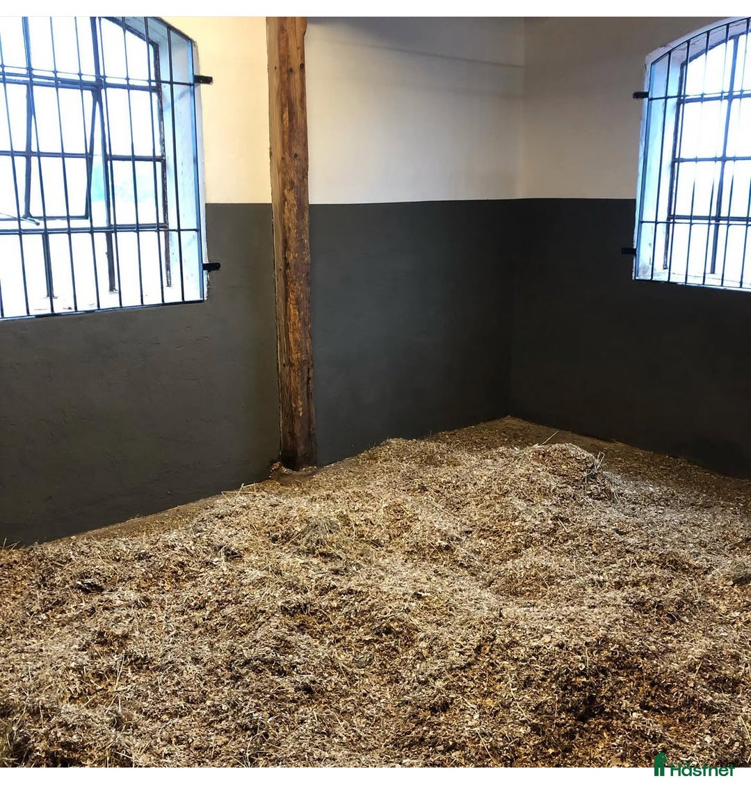  stallplats finnes: Stallplatser  i Varberg - Annons 3