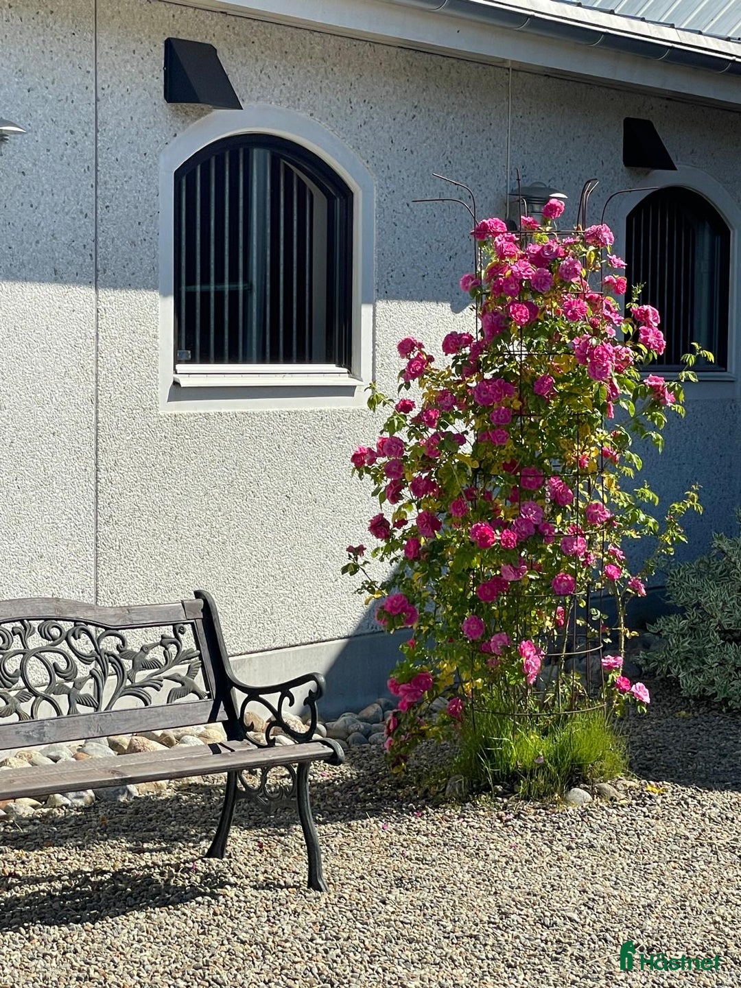  stallplats finnes: Stallplats i Innertavle/Umeå i Umeå - Annons 3