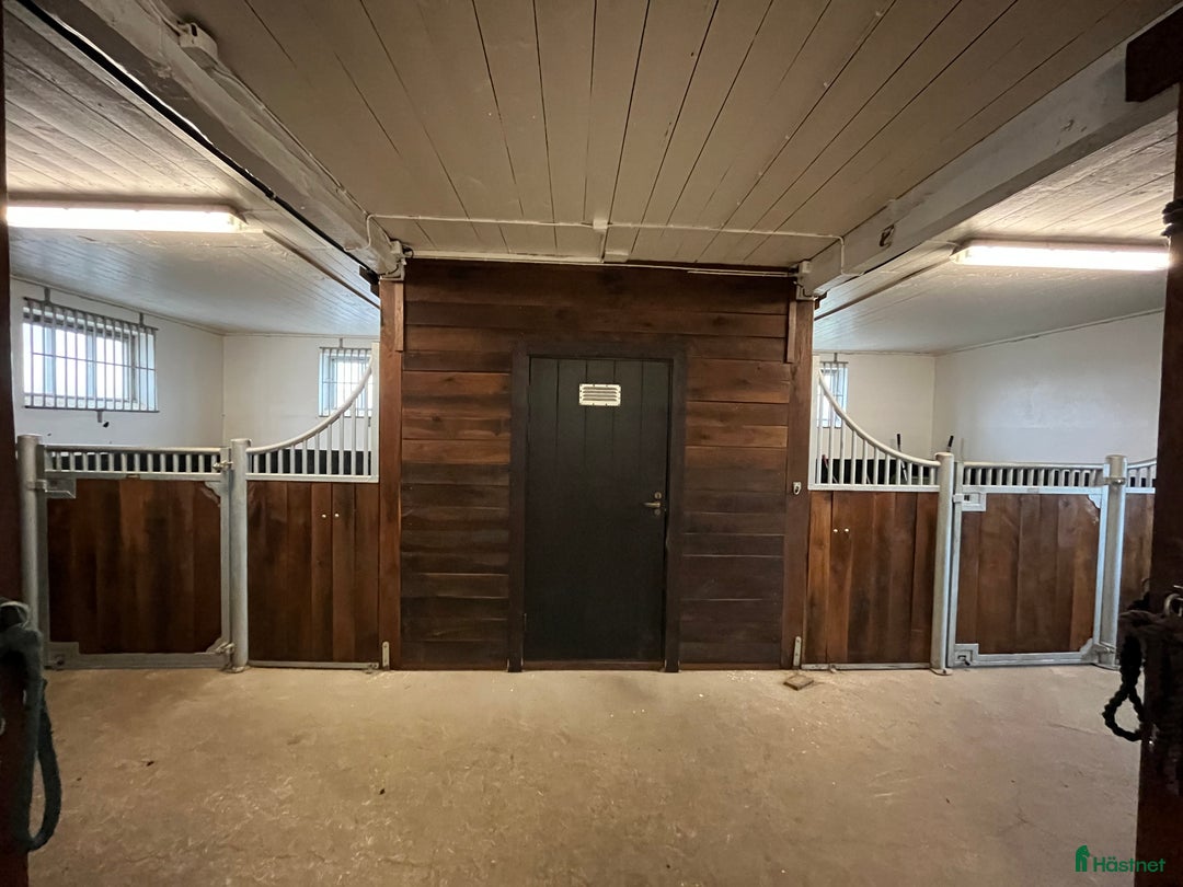  stallplats finnes: Stallplatser utanför Hässleholm! i Hörja - Annons 2