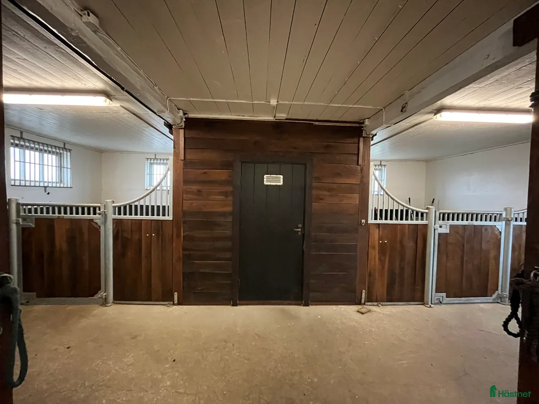 stallplats finnes: Stallplatser utanför Hässleholm! i Hörja - Annons 2