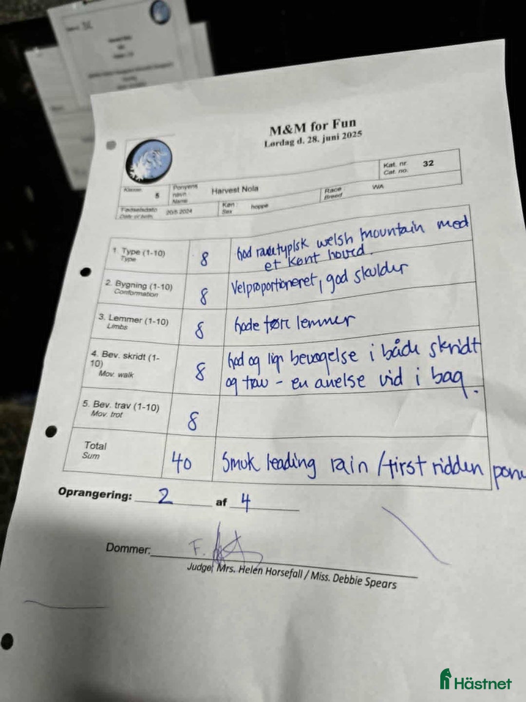 Avelshästar hästar till salu: Smuk welsh mountain hoppeplag Harvest Nola   - Annons 5