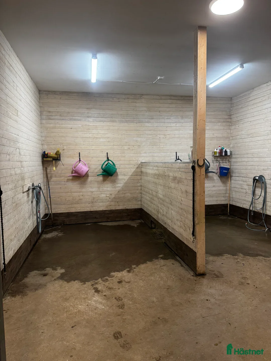  stallplats finnes: Ledig boxplats i Rosersberg - Annons 4