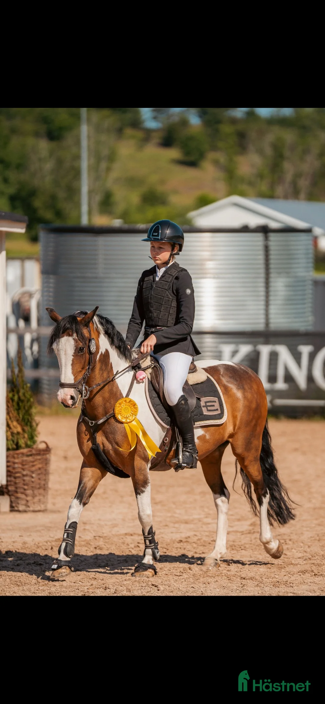 Hoppning hästar till salu: Tävlingsponny med hjärta av guld 💛  - Annons 2