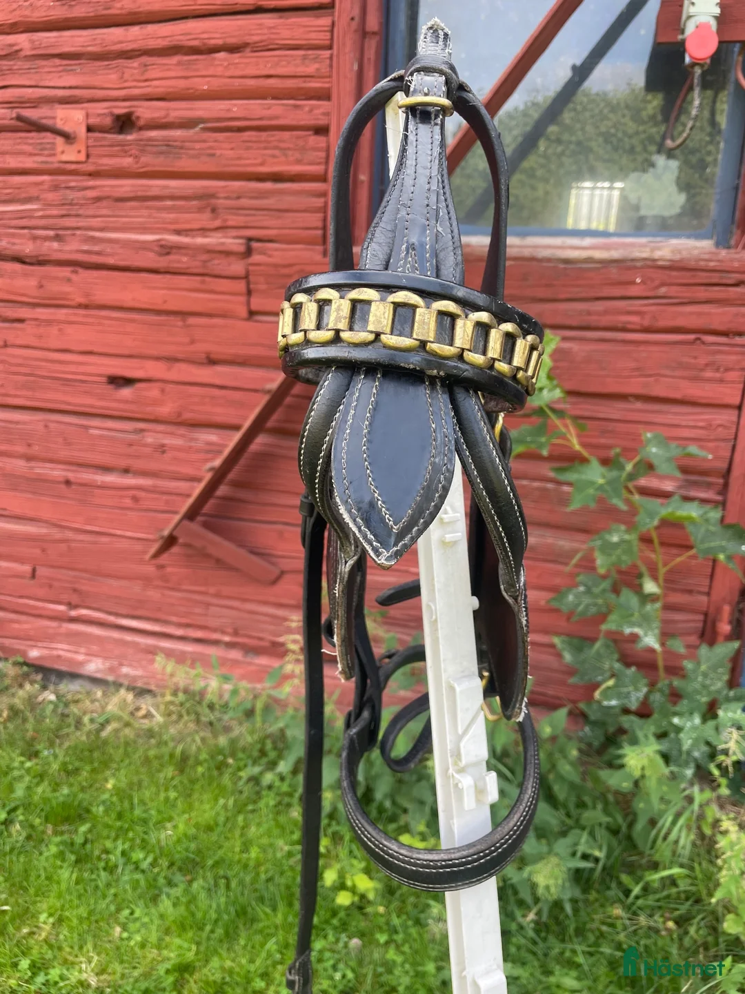 Träns hästutrustning till salu: Körhuvudlag - Annons 2