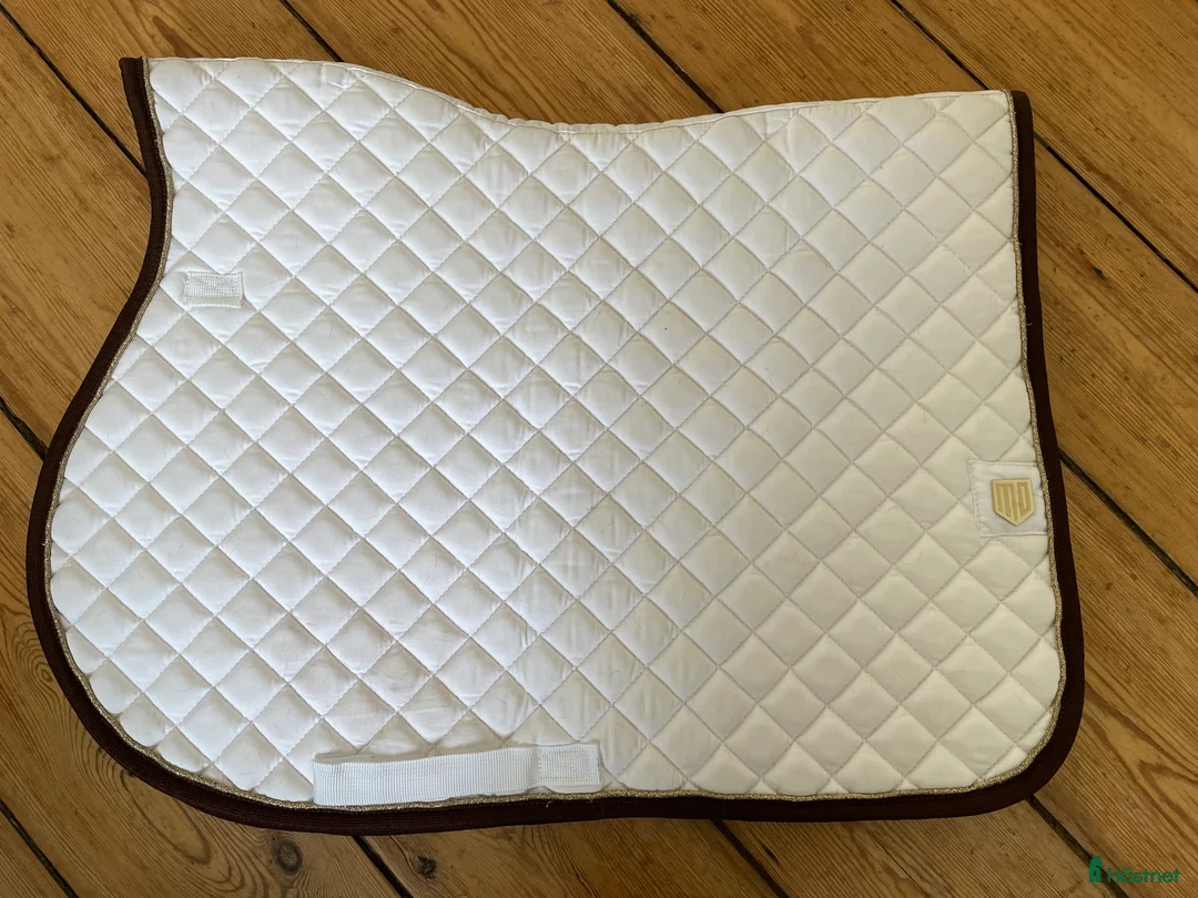 Schabrak & Vojlockar hästutrustning till salu: Schabrak dressyr och hopp märkes  i Norrköping - Annons 3