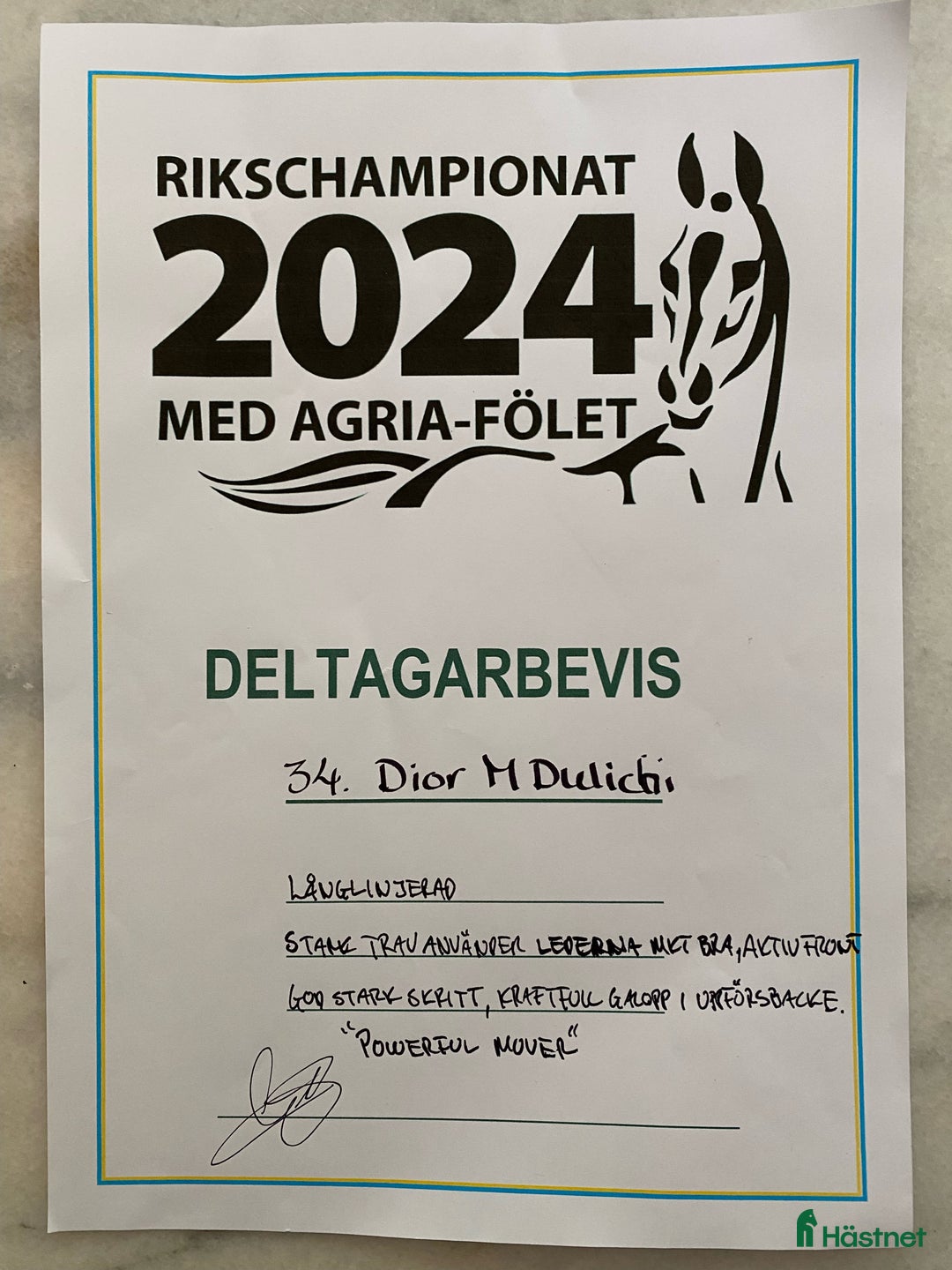 Dressyr hästar till salu: Fantastiskt framtidslöfte  i Kvänum - Annons 3