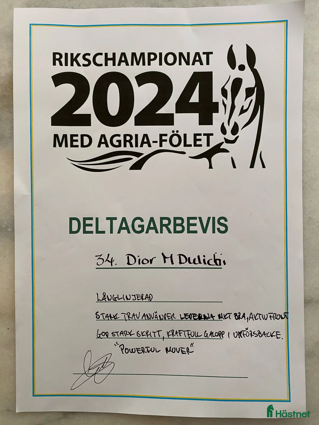 Dressyr hästar till salu: Fantastiskt framtidslöfte  - Annons 3