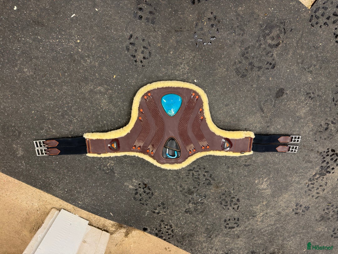 Sadeltillbehör hästutrustning till salu: eQuick magplatta i Skövde - Annons 1