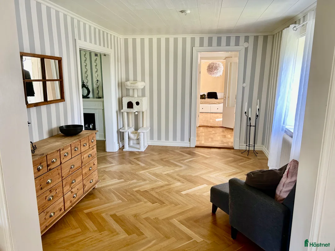  hästgårdar till salu: Perfekt för verksamhet / inackordering - Annons 21