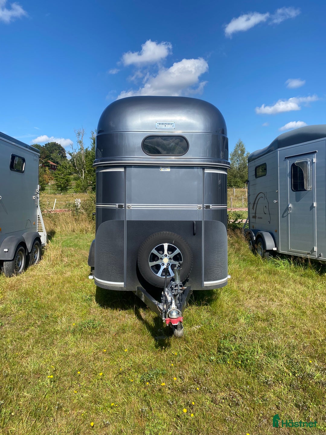 Hästtransporter  fordon & transport till salu: Forzab Classic i Älmhult - Annons 1