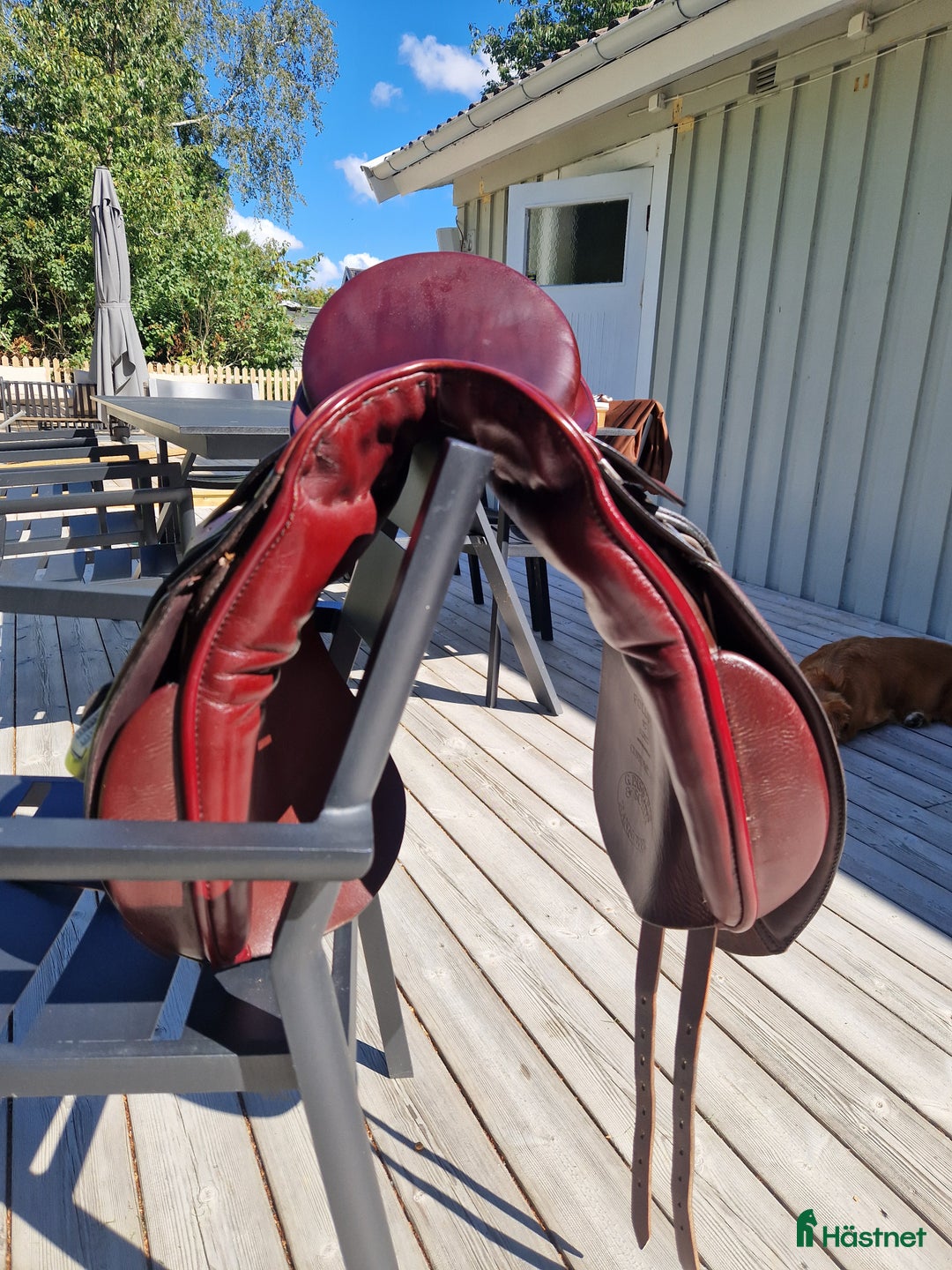 Sadlar hästutrustning till salu: Passier pollux dressyrsadel i Ängelholm - Annons 2