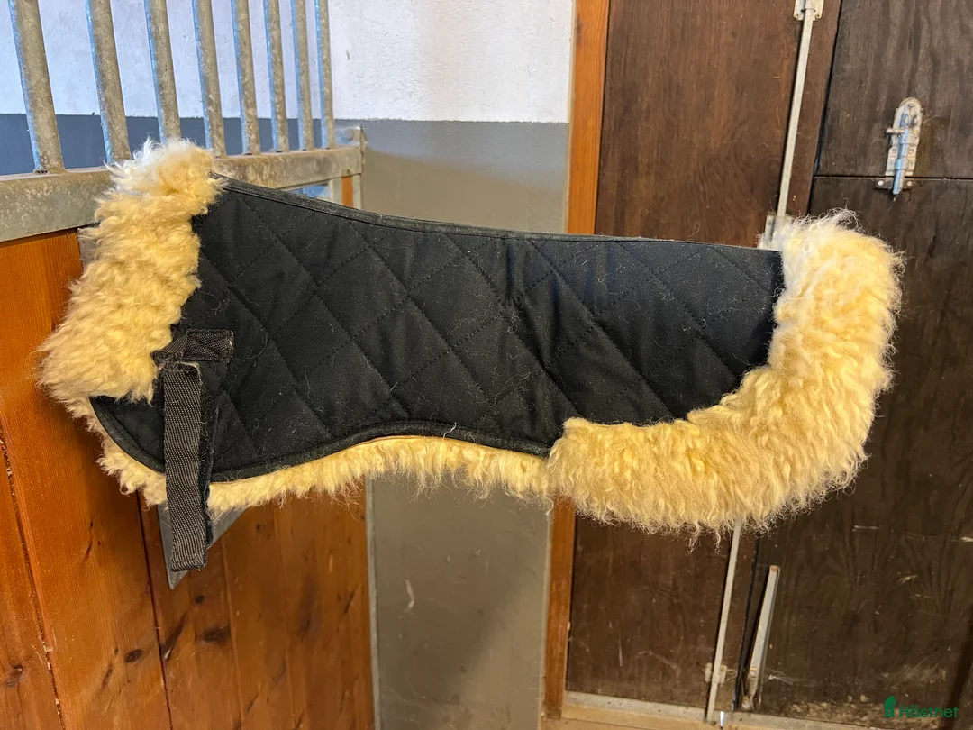 Sadeltillbehör hästutrustning till salu: Fårskinnspad i Jonstorp - Annons 1