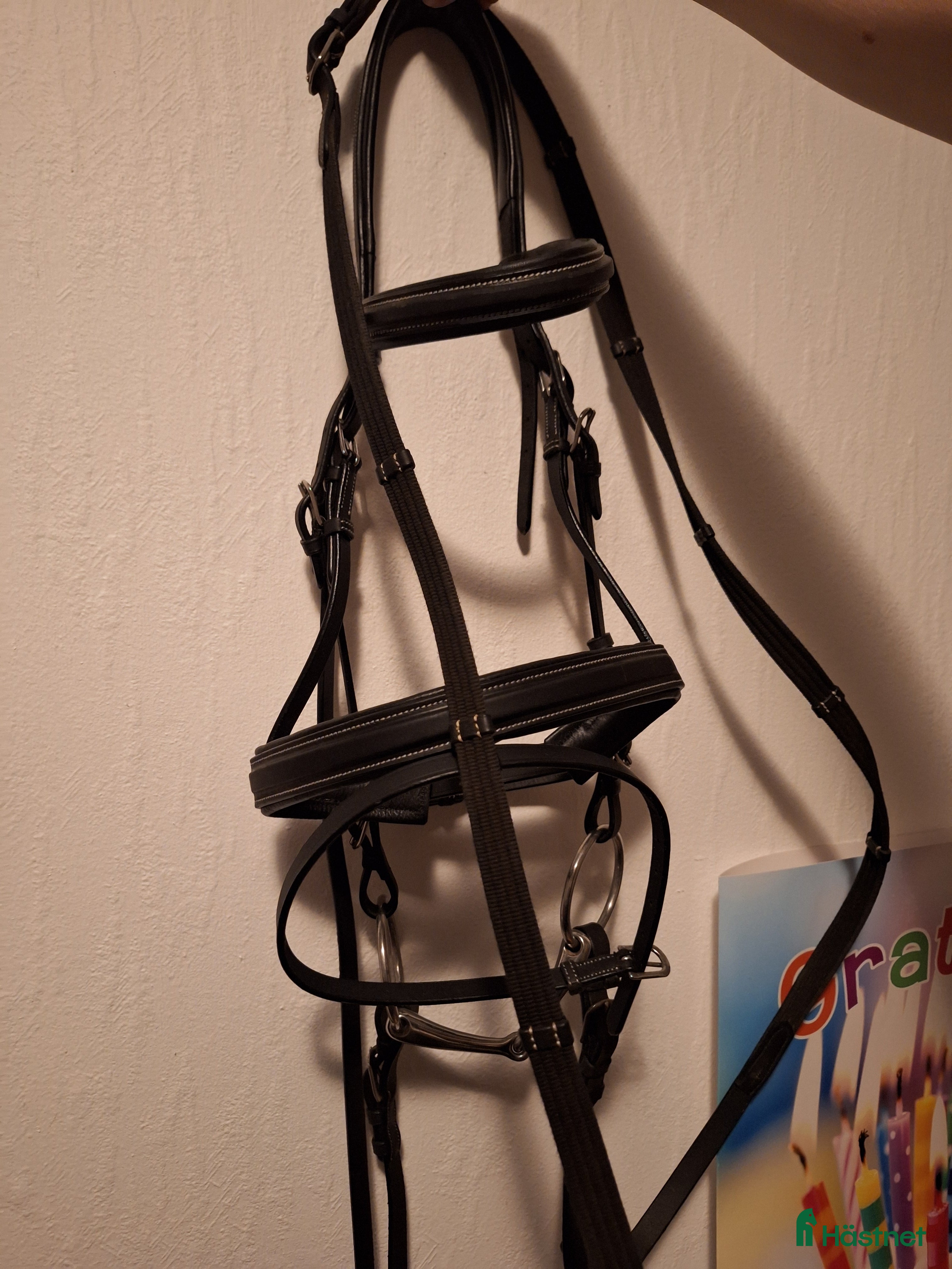 Träns hästutrustning till salu: HKMträns i nyskick. Julklapp? i Svanesund - Annons 4