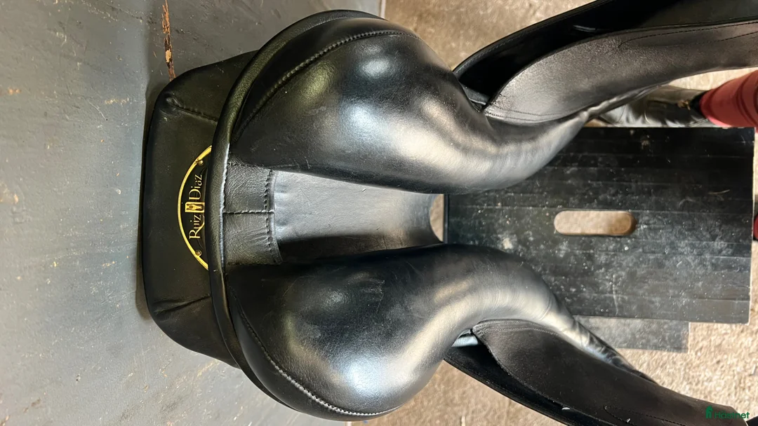 Sadlar hästutrustning till salu: Lippo Flavio (Fazzino) 17,5” MW - Annons 5