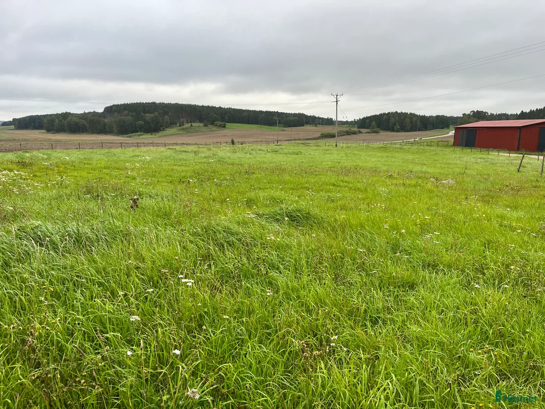  stallplats finnes: Stallplats Björnlunda Gnesta i Björnlunda - Annons 3