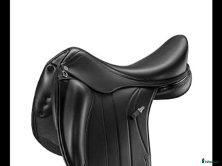 Sadlar hästutrustning till salu: Equipe Viktoria sökes i Eslöv - Annons 19