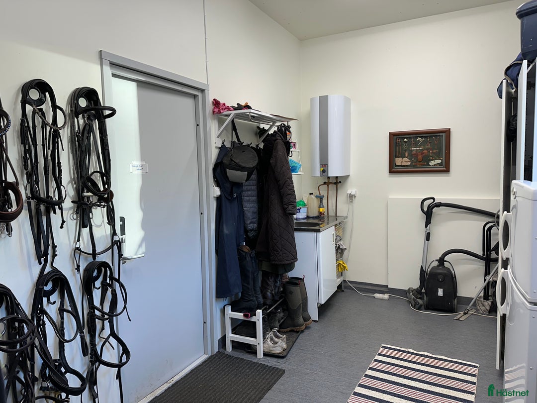  stallplats finnes: Boxplats med det mesta i Österhaninge - Annons 8