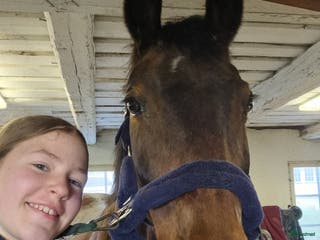 medryttarhäst sökes: Söker Medryttarhäst - Annons 20