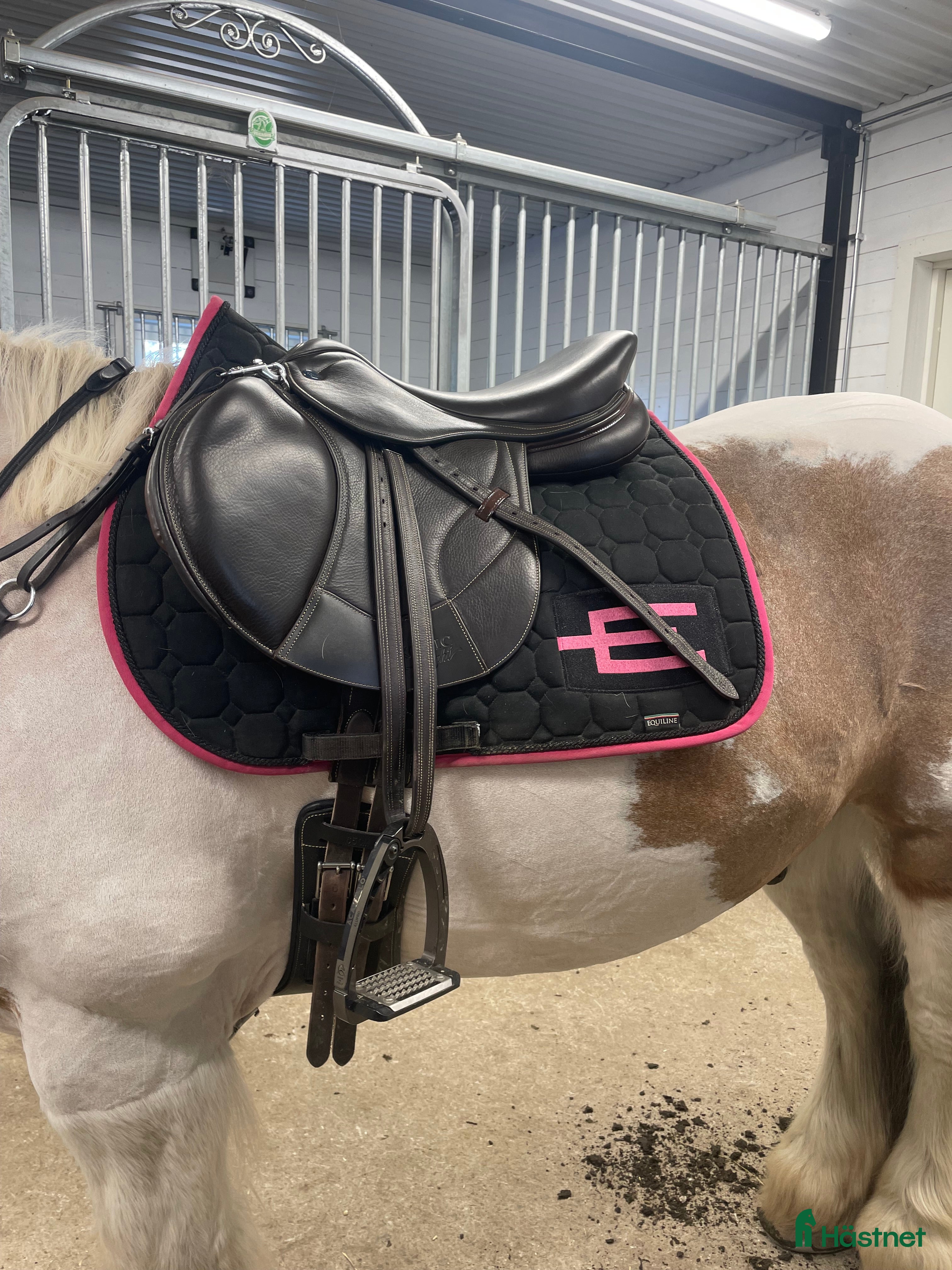 Sadlar hästutrustning till salu: ikonic sadel i Haparanda - Annons 5