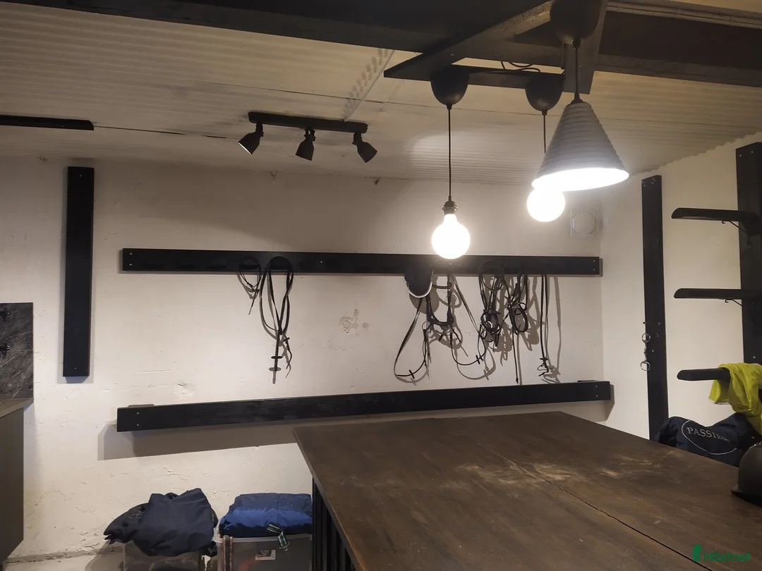  stallplats finnes: Hästboxar att hyra på en fantastisk tomt.  i Tomelilla - Annons 12