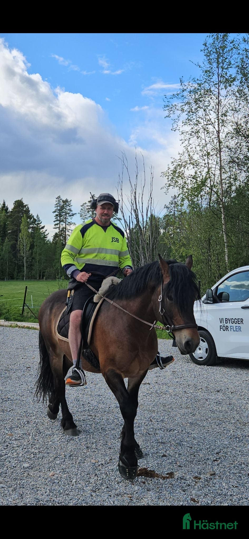  hästar Balder söker nytt hem  - Annons 1