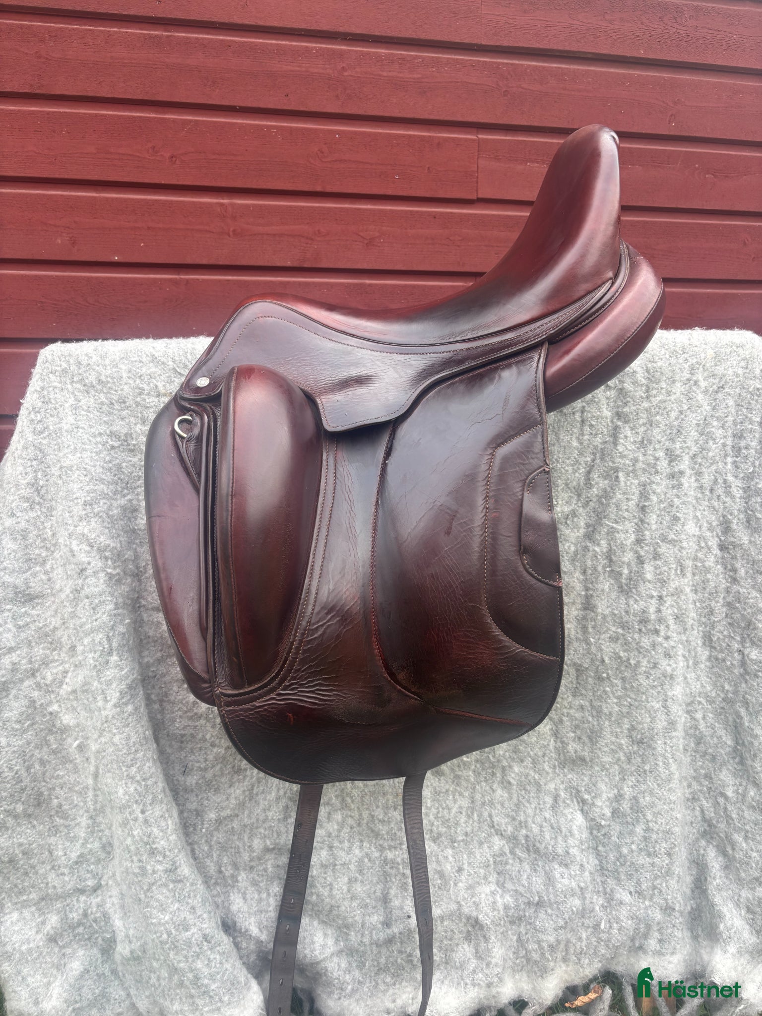 Sadlar hästutrustning Antares Tempo - Annons 1