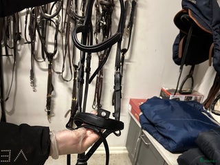 Träns hästutrustning till salu: Antares träns i Norrtälje - Annons 1