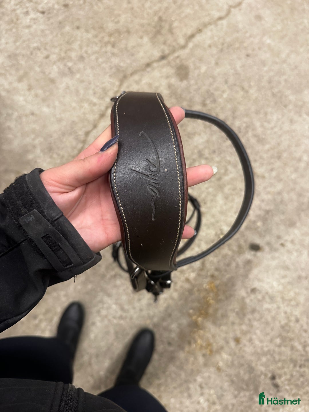 Träns hästutrustning till salu: Oanvänt Dyon träns säljes! i Uppsala - Annons 5