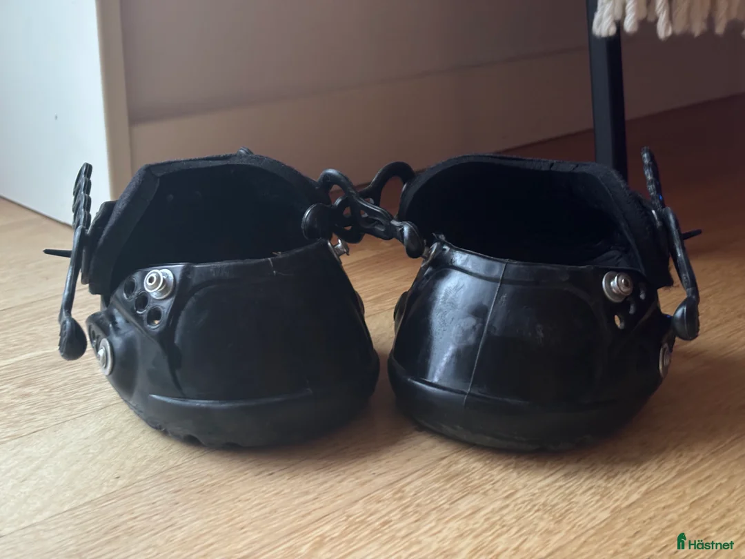 Övrig Hästutrustning hästutrustning till salu: evo boots i Täby - Annons 1