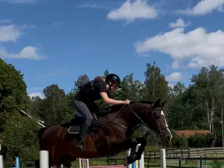 hästar Fin läromästare 🌟 - Annons 17